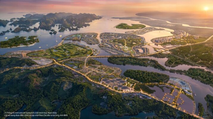 vin hạ long xanh american wonder